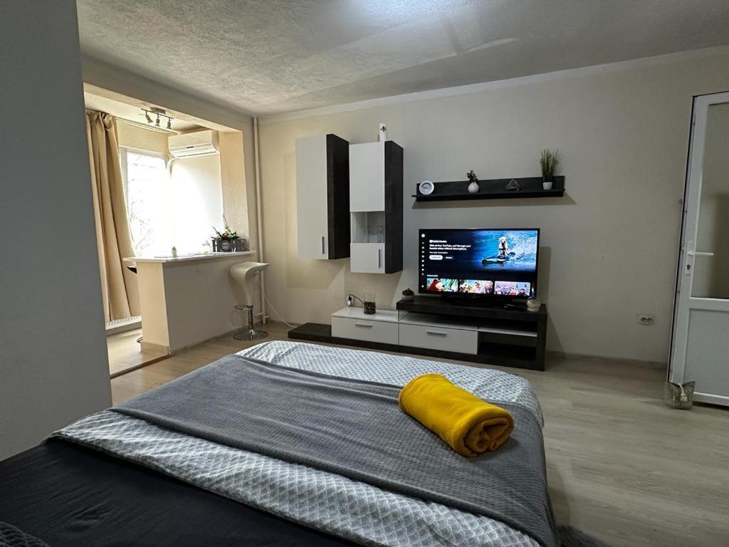 Reeas Apartament Тимишоара Экстерьер фото