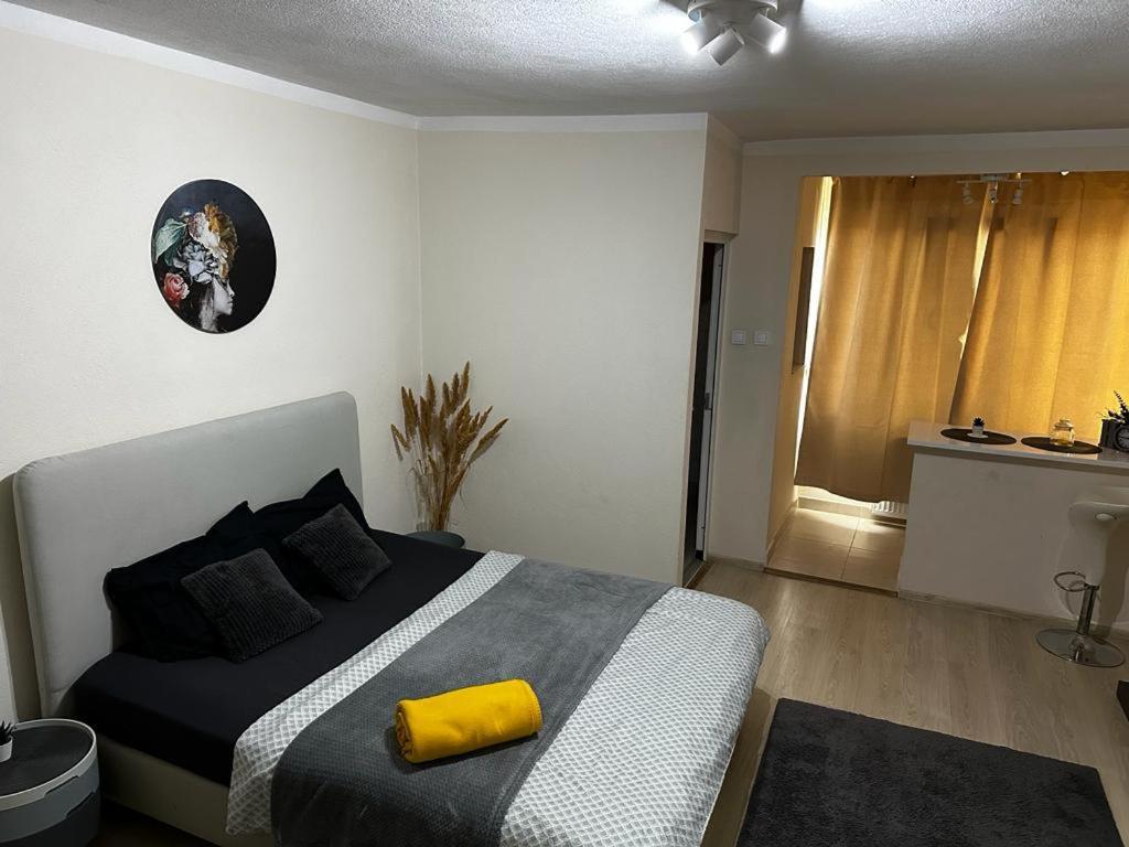 Reeas Apartament Тимишоара Экстерьер фото