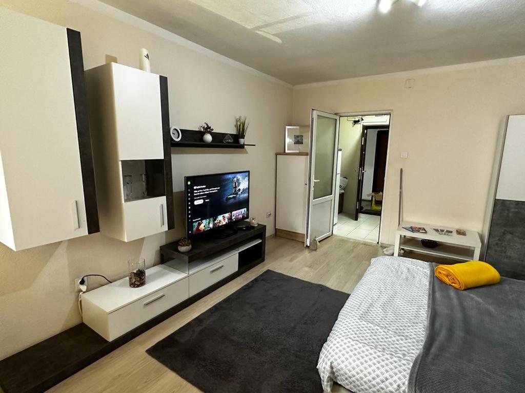 Reeas Apartament Тимишоара Экстерьер фото