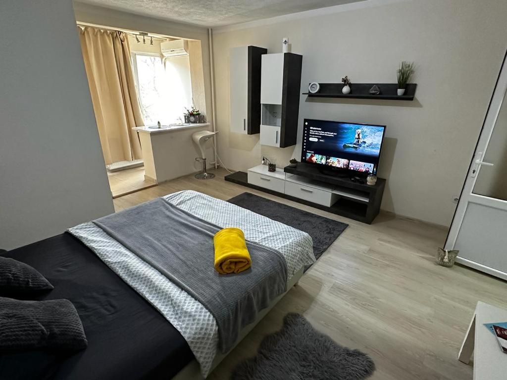 Reeas Apartament Тимишоара Экстерьер фото