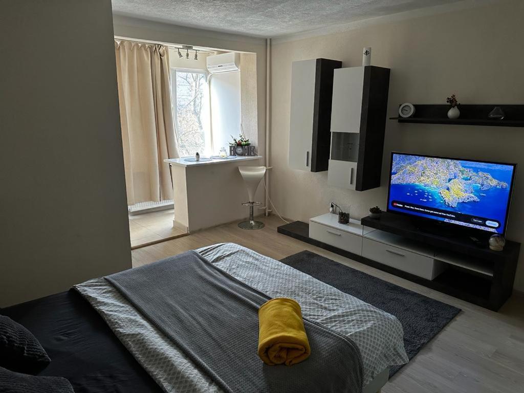 Reeas Apartament Тимишоара Экстерьер фото