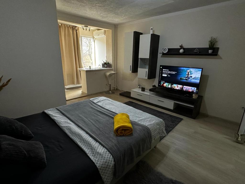 Reeas Apartament Тимишоара Экстерьер фото