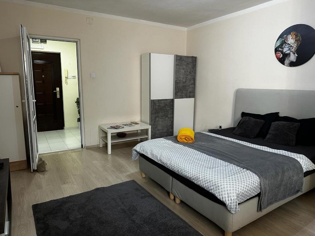 Reeas Apartament Тимишоара Экстерьер фото