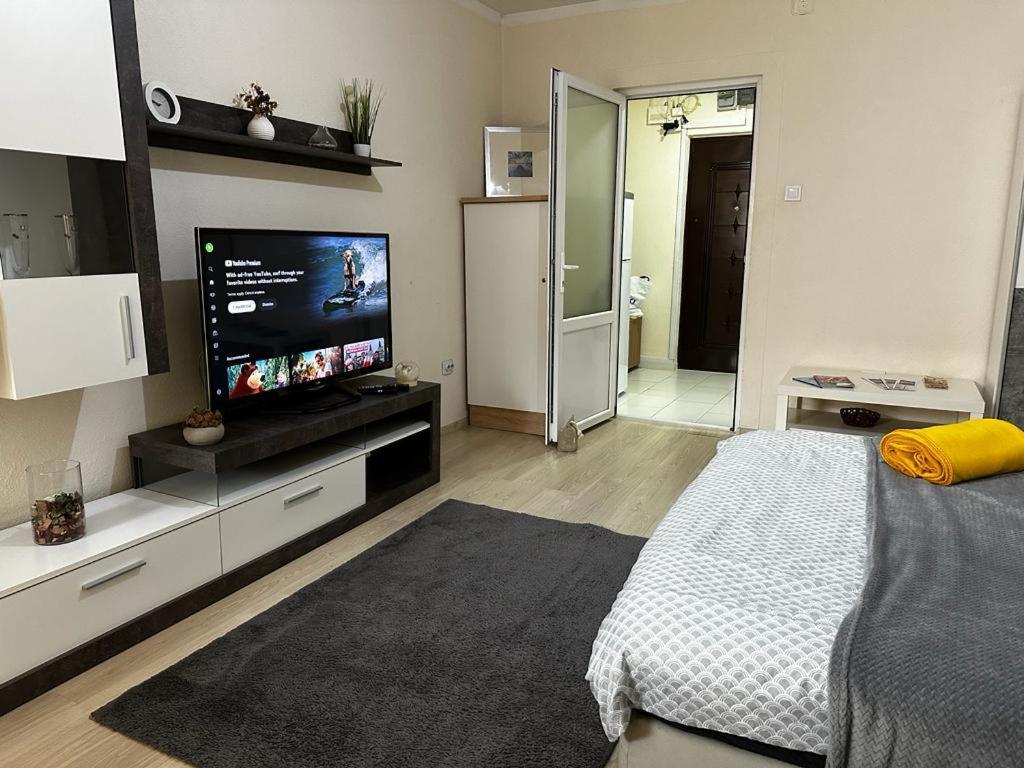 Reeas Apartament Тимишоара Экстерьер фото